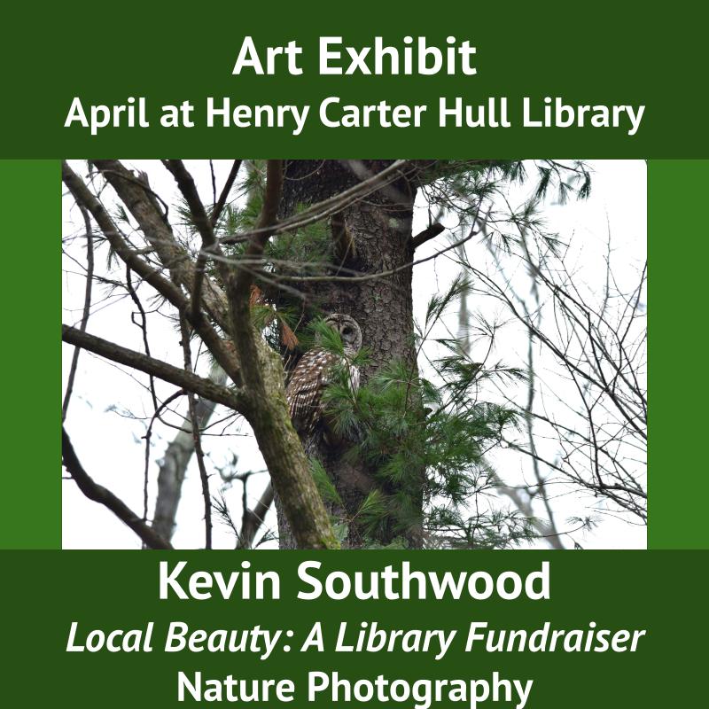 Art Exhibit - 2024-04 - Kevin Southwood, Local Beauty Library Fundraiser