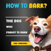 How_to_Bark___The_Dog_Who_Forgot_to_Bark