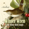 Winter_Wren_And_Other_Bird_Songs