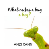 What_Makes_a_Bug_a_Bug_