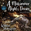 A_Midsummer_Night_s_Dream_Novel