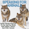 Speaking_for_Animals__Author_Brenda_Peterson_On_Our_Spiritual_Bonds_With_Whales__Wolves__Birds__and