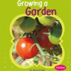 Growing_a_Garden