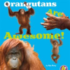 Orangutans_Are_Awesome_
