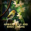 Ambient_Rain_and_Birds_Singing