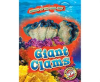 Giant_Clams