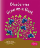 Blueberries_Grow_on_a_Bush