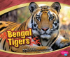 Bengal_Tigers