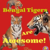 Bengal_Tigers_Are_Awesome_