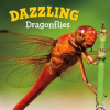 Dazzling_Dragonflies