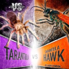 Tarantula_vs__Tarantula_Hawk