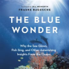 The_Blue_Wonder