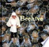 Let_s_take_a_field_trip_to_a_beehive