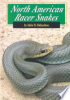 North_American_racer_snakes