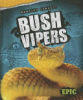 Bush_vipers
