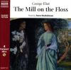 The_mill_on_the_Floss