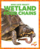 Wetland_food_chains