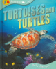 Tortoises_and_turtles