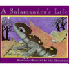 A_salamander_s_life