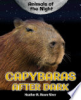 Capybaras_after_dark