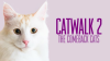 Catwalk_2__The_Comeback_Cats