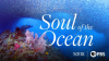 Soul_of_the_Ocean