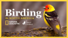 The_National_Geographic_Guide_to_Birding_in_North_America
