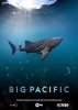 Big_Pacific
