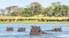 Safaris_In_Southern_Africa