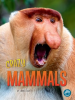 Crazy_Mammals