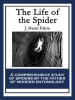 The_Life_of_the_Spider