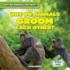 Why_Do_Animals_Groom_Each_Other_