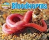 Bloodworms_and_Other_Wriggly_Beach_Dwellers