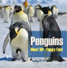 Penguins_-_Meet_Mr__Flappy_Feet