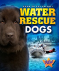 Water_Rescue_Dogs