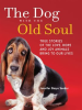 The_Dog_with_the_Old_Soul