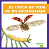 El_ciclo_de_vida_de_un_escarabajo__A_Beetle_s_Life_Cycle_