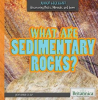 What_Are_Sedimentary_Rocks_