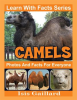 Camels_Photos_and_Facts_for_Everyone