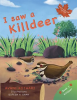 I_saw_a_Killdeer