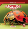 Ladybugs_Up_Close