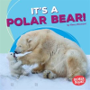 It_s_a_Polar_Bear_