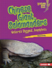 Chinese_Giant_Salamanders