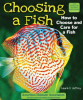 Choosing_a_Fish