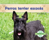 Perros_Terrier_Escoc__s__Scottish_Terriers_