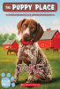Jake__The_Puppy_Place__47_