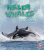 Killer_Whales_Are_Awesome
