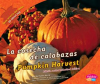 La_cosecha_de_calabazas_Pumpkin_Harvest