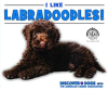 I_Like_Labradoodles_