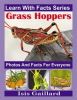 Grasshopper_Photos_and_Facts_for_Everyone